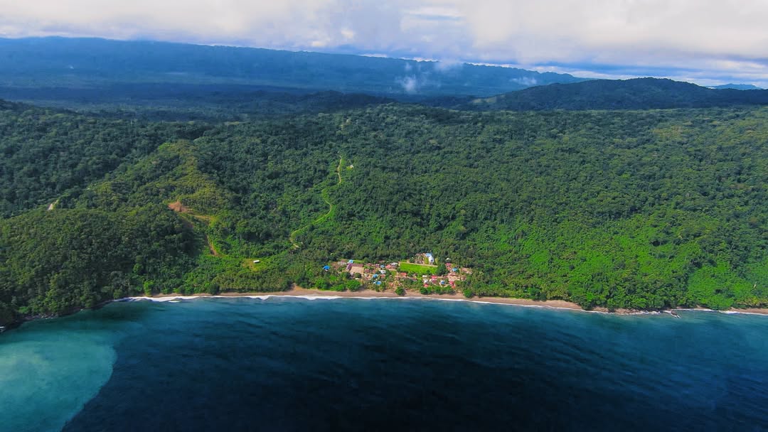 Surfing di ombak besar